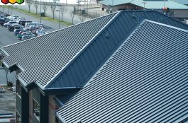 sử dụng sơn chống nóng cho mái tôn - làm mái tôn trọn gói tại quận Bình Thạnh - 0368115251 - tôn 11 sóng